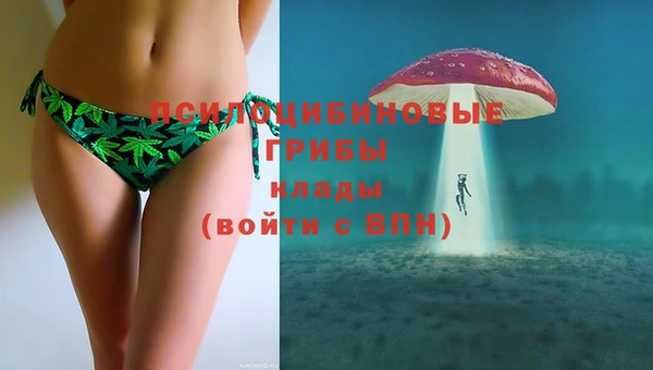 ECSTASY Алексеевка