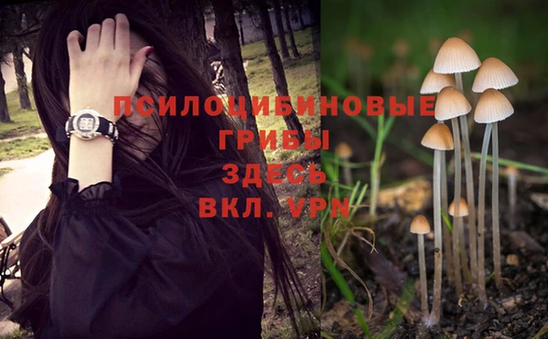 PSILOCYBIN Алзамай