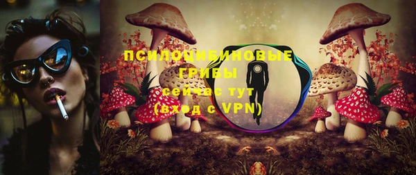 PSILOCYBIN Алзамай