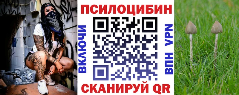 Псилоцибиновые грибы мухоморы Билибино